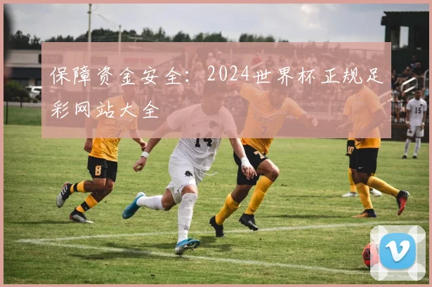 保障资金安全：2024世界杯正规足彩网站大全