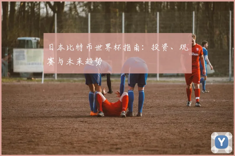日本比特币世界杯指南：投资、观赛与未来趋势