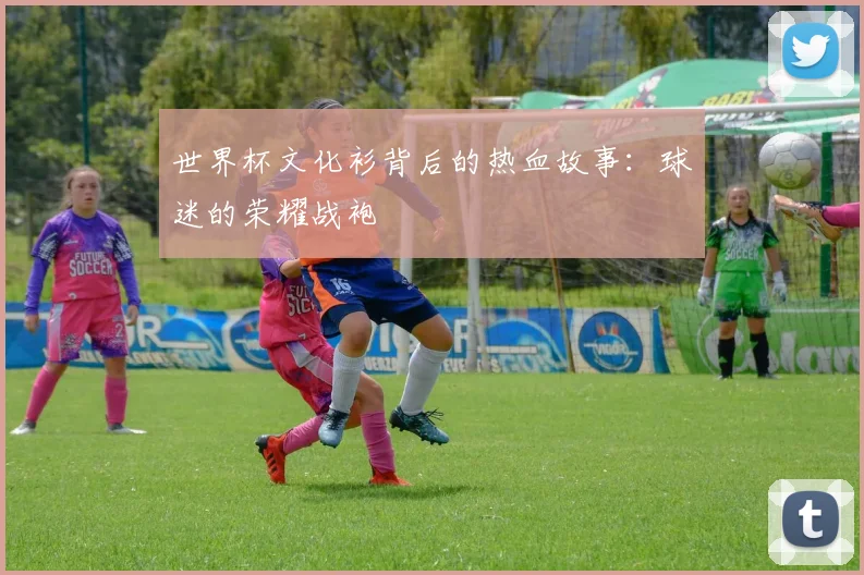 世界杯文化衫背后的热血故事:球迷的荣耀战袍