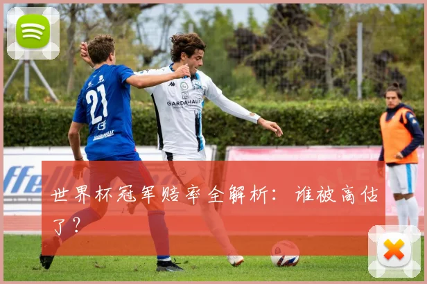 世界杯冠军赔率全解析:谁被高估了?