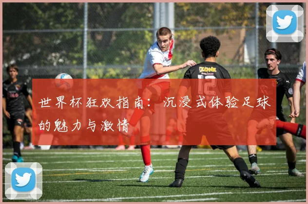 世界杯狂欢指南:沉浸式体验足球的魅力与激情